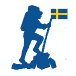 www.swedishnomad.com
